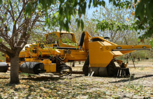 bonsai robotics equipment in an orchard.