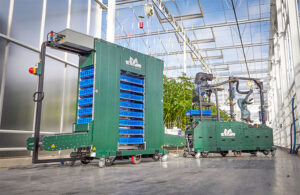 view of four growers GR 100 tomato harvesting robot.